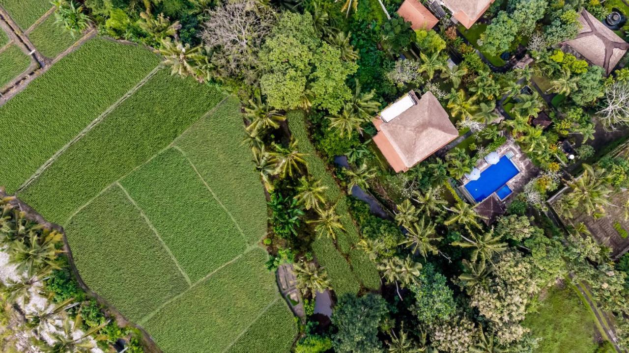 Alam Shanti Ubud Exteriör bild